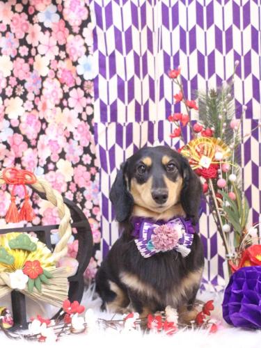 20250125おうたくん